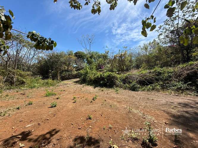 21323 - Terreno de1.2 hectáreas, con uso agrícola en residencial - Imagen 9