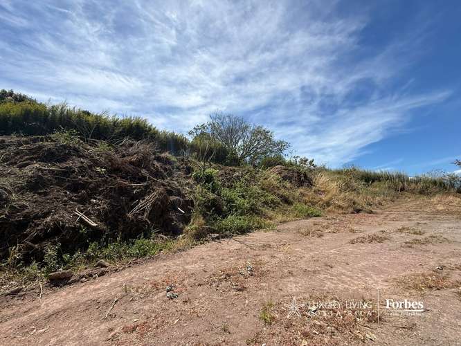 21323 - Terreno de1.2 hectáreas, con uso agrícola en residencial - Imagen 6