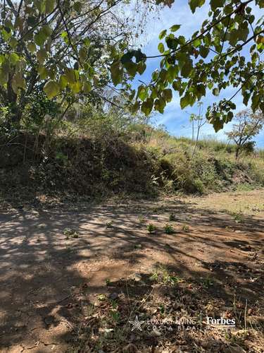 21323 - Terreno de1.2 hectáreas, con uso agrícola en residencial - Imagen 2