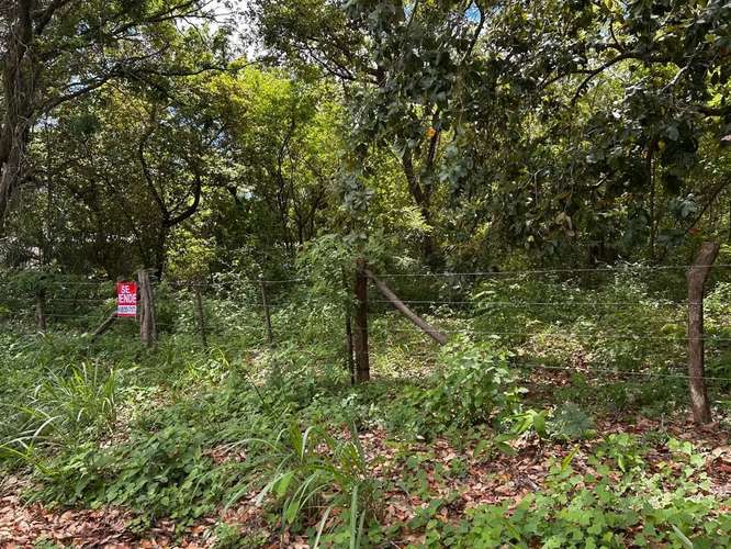 Venta de Terreno en Pijije de Bagaces Guanacaste 10 - Imagen 5
