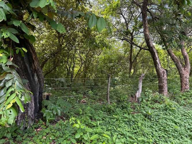 Venta de Terreno en Pijije de Bagaces Guanacaste 10 - Imagen 2