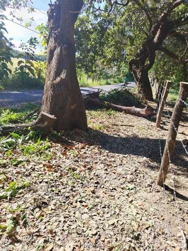 Venta de Terreno en Pijije de Bagaces Guanacaste 10 - Imagen 4