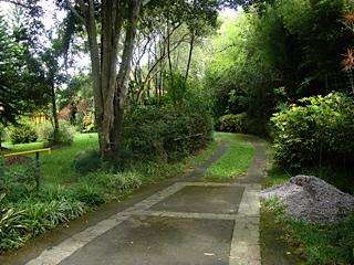 Finca con Casa y Piscina en San Isidro de Heredia