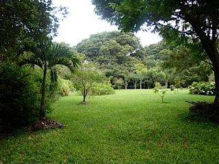 Finca con Casa y Piscina en San Isidro de Heredia