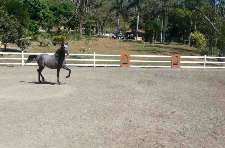 Lujosa propiedad estilo Mediterráneo en La Garita de Alajuela - Imagen 16