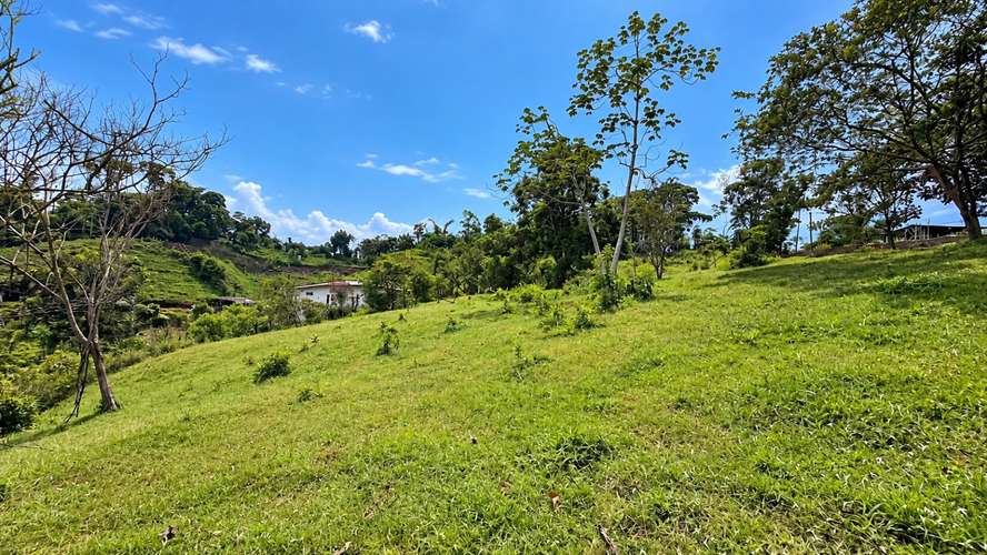 VENTA DE LOTE EN PÁRAMO, PÉREZ ZELEDÓN -15 - Imagen 3