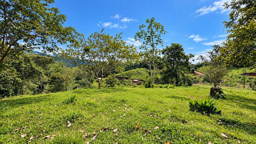 VENTA DE LOTE EN PÁRAMO, PÉREZ ZELEDÓN -15 - Imagen 4