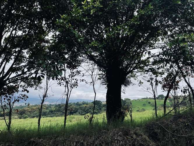 Fincas en Santiago de Paraíso de Cartago, Cartago