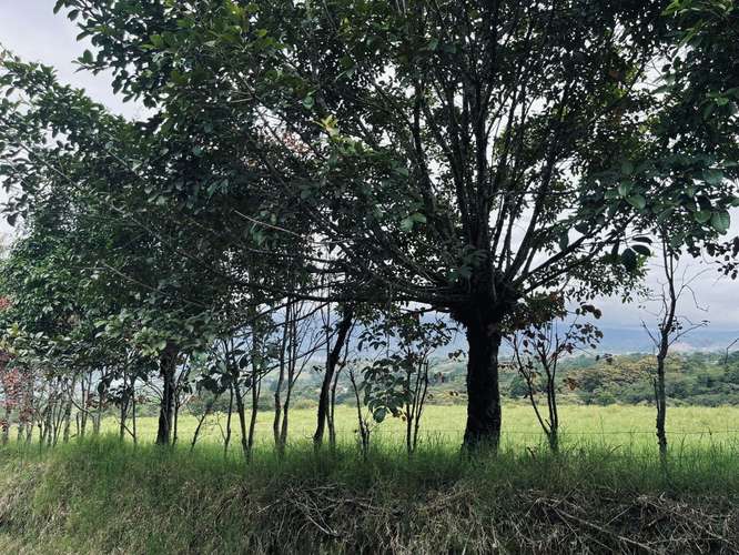 Fincas en Santiago de Paraíso de Cartago, Cartago - Imagen 3