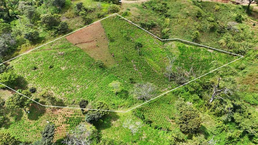 Venta de quinta en Vuelta de Jorco, Aserrí -15 - Imagen 11