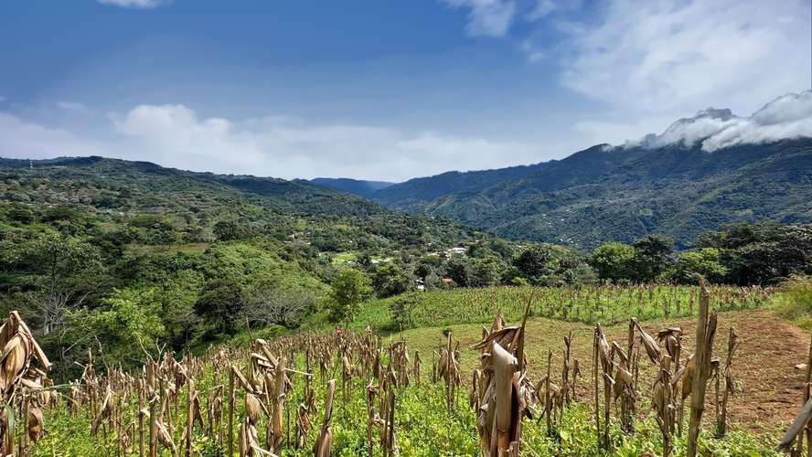 Venta de quinta en Vuelta de Jorco, Aserrí -15 - Imagen 19