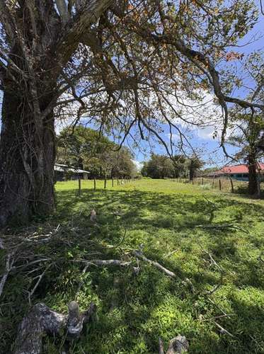 Lote en Venta en Bagaces, Guanacaste MV-249 - Imagen 10