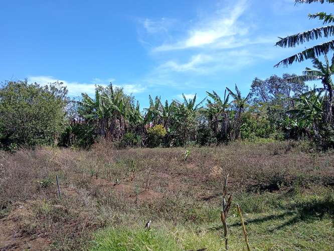 Finca en Concepción de San Rafael de Heredia, Heredia - Imagen 7