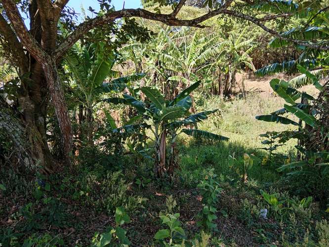 Finca en Concepción de San Rafael de Heredia, Heredia - Imagen 12