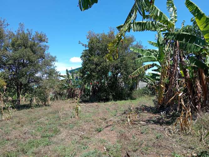 Finca en Concepción de San Rafael de Heredia, Heredia - Imagen 10