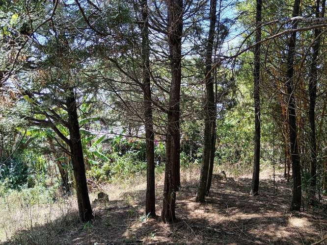 Finca en Concepción de San Rafael de Heredia, Heredia - Imagen 13