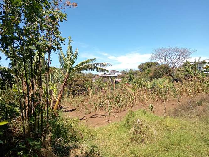 Finca en Concepción de San Rafael de Heredia, Heredia - Imagen 6