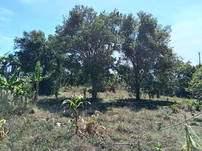 Finca en Concepción de San Rafael de Heredia, Heredia - Imagen 9