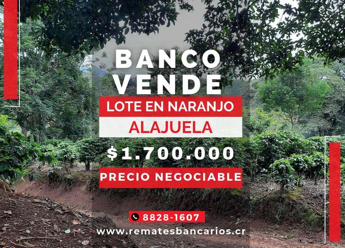 Lote para desarrollo en venta en Naranjo, Alajuela - Imagen 1