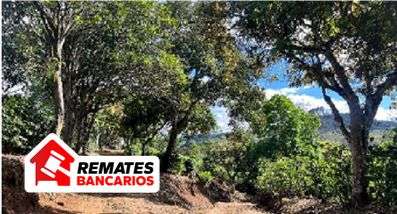 Lote para desarrollo en venta en Naranjo, Alajuela - Imagen 5