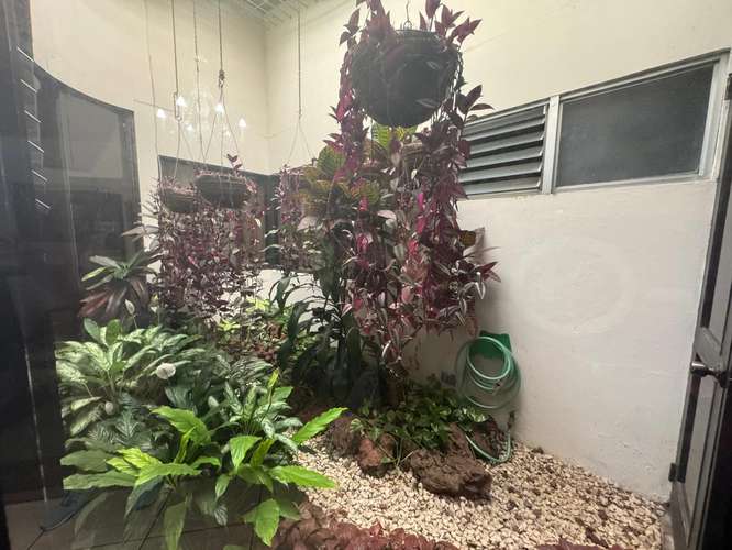 Casa de una planta con jardín y 4 estacionamientos en Guayabos, Curridabat, San José - Imagen 16