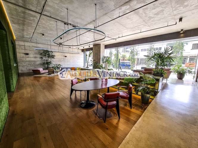 Cosmopolitan Tower Nunciatura! Apartamento amueblado con servicios incluidos - Imagen 4