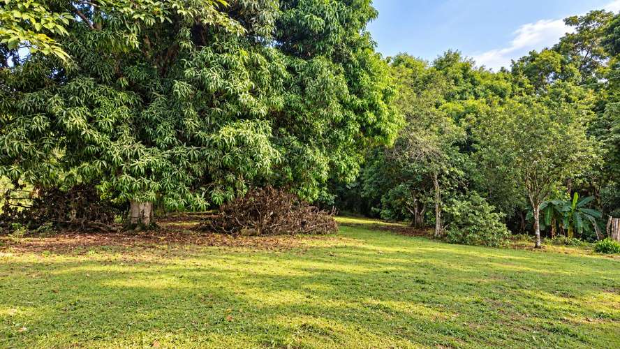 Lote en venta de 3.863 m² totalmente plano con uso de suelo mixto en Lagunillas, Puntarenas IP - Imagen 8