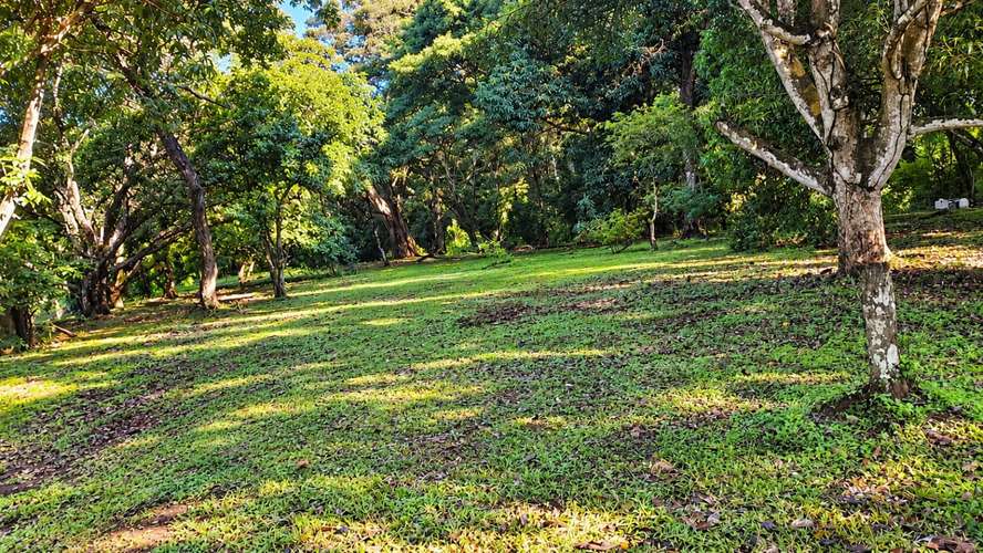 Lote en venta de 3.863 m² totalmente plano con uso de suelo mixto en Lagunillas, Puntarenas IP - Imagen 5