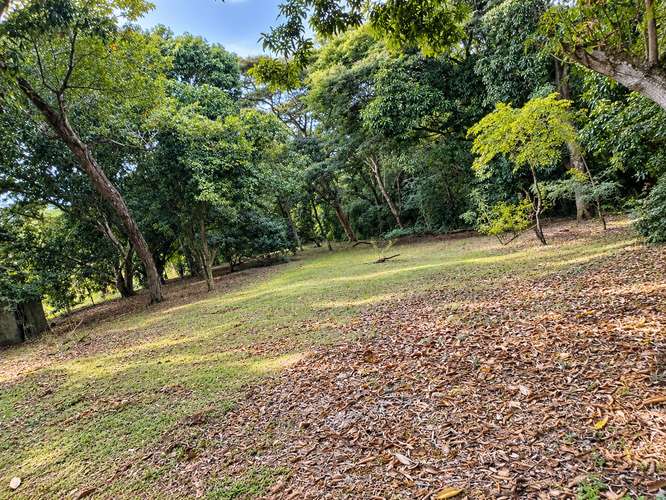 Lote en venta de 3.863 m² totalmente plano con uso de suelo mixto en Lagunillas, Puntarenas IP - Imagen 4