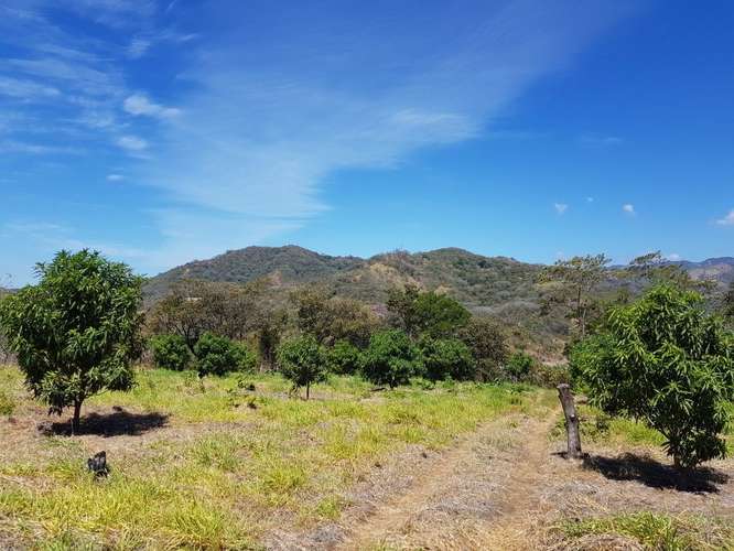 Venta de finca productiva de mango en Turrubares con fácil acceso y vista a las montañas - Imagen 6