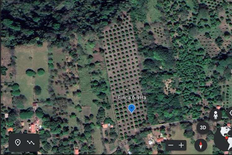 Venta de finca productiva de mango en Turrubares con fácil acceso y vista a las montañas - Imagen 2