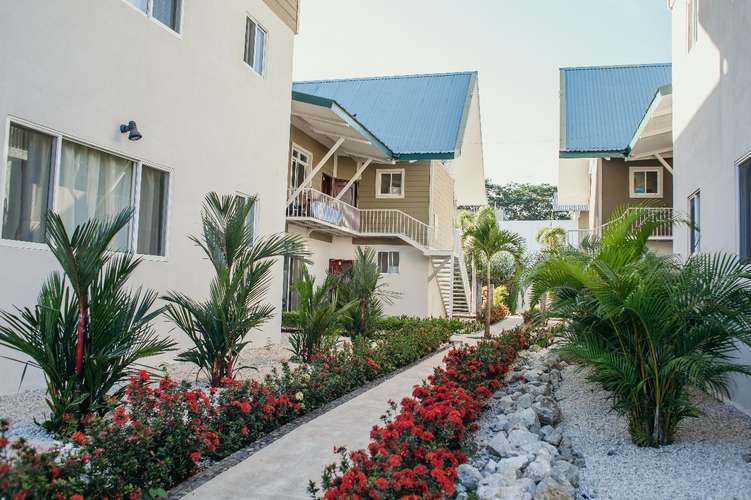 3-Bedroom Furnished Long-Term Rental Near Tamarindo Apt #6 - Imagen 8