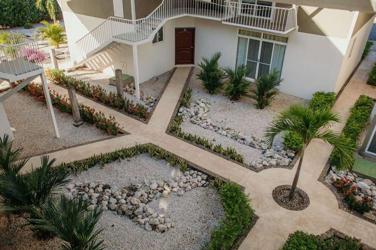 3-Bedroom Furnished Long-Term Rental Near Tamarindo Apt #6 - Imagen 17