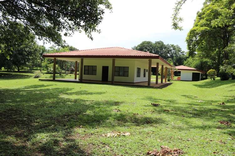 Venta de finca en Turrubares – Producción Agrícola, Casas y Piscina - Imagen 6