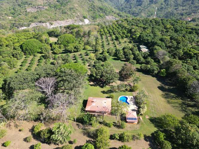 Venta de finca en Turrubares – Producción Agrícola, Casas y Piscina - Imagen 2