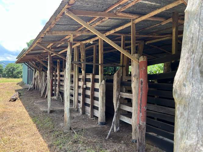 Venta de finca en Turrubares – Producción Agrícola, Casas y Piscina - Imagen 19