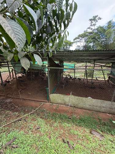 Se vende Finca en La Virgen de Sarapiqui