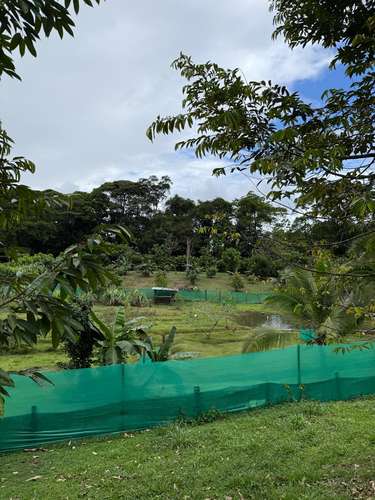 Se vende Finca en La Virgen de Sarapiqui