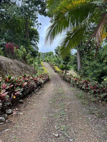 Se vende Finca en La Virgen de Sarapiqui