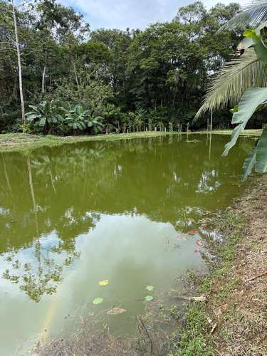 Se vende Finca en La Virgen de Sarapiqui
