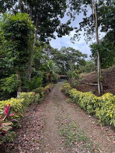 Se vende Finca en La Virgen de Sarapiqui