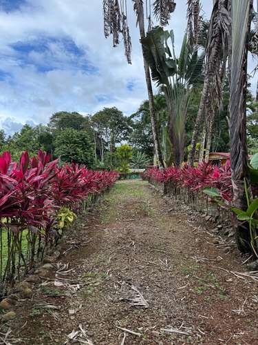Se vende Finca en La Virgen de Sarapiqui