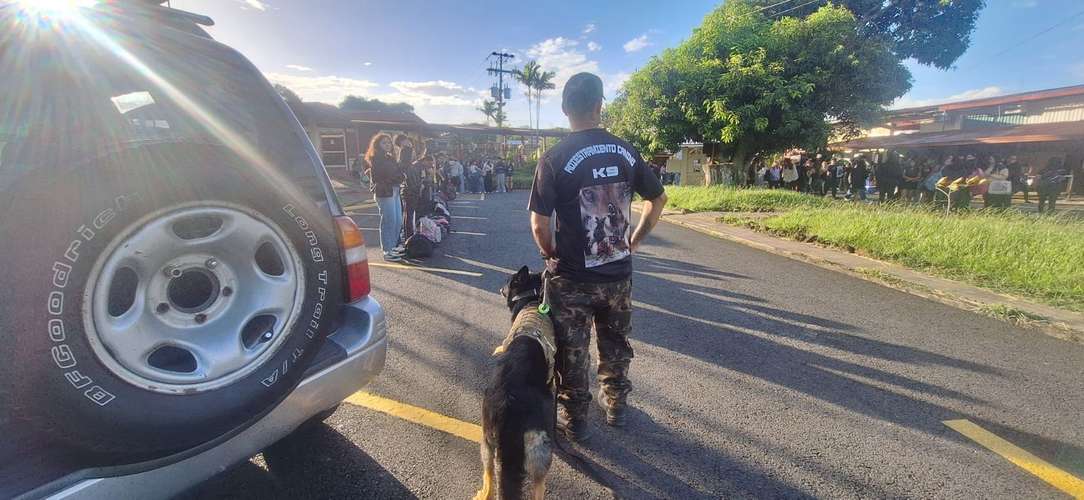 Adiestramiento K9 Ankara  - Imagen 8