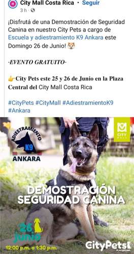Adiestramiento K9 Ankara  - Imagen 2