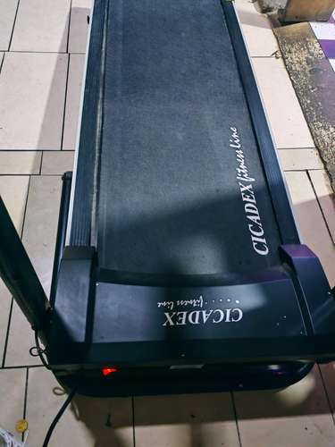 CAMINADORA MARCA CICADEX - Imagen 2