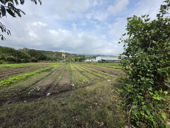 Venta de Lote Industrial en Cartago - ID 43894 VG - Imagen 5
