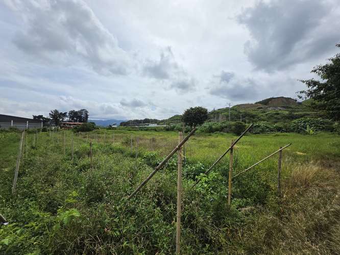 Venta de Lote Industrial en Cartago - ID 43894 VG - Imagen 9