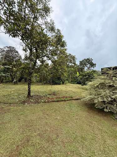Casa De 4 Habitaciones Con Terreno De 6.000 M² En Cerro Cortés