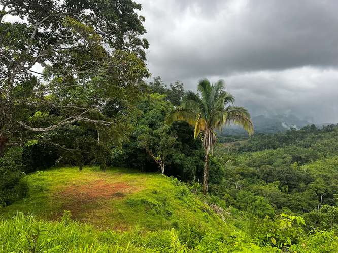 Espectacular Finca Ecológica de Montaña en Bijagual - Imagen 6