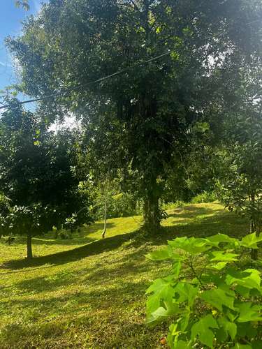 Espectacular Finca Ecológica de Montaña en Bijagual - Imagen 7